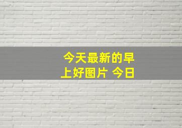 今天最新的早上好图片 今日